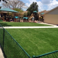 Artificial Turf Lakeside Texas Landscape Back Yard