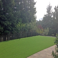 Synthetic Turf Prosper Texas Landscape Back Yard