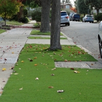 Artificial Grass Quinlan Texas Landscape Front Yard