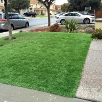 Artificial Turf Pecan Acres Texas Lawn Back Yard