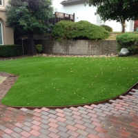 Synthetic Turf DISH Texas Lawn Front Yard