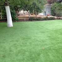 Golf Putting Greens Lowry Crossing Texas Synthetic Turf Back