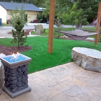 Synthetic Grass Double Oak Texas Lawn Back Yard