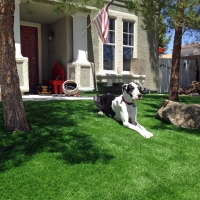 Fake Grass North Richland Hills Texas Landscape Commercial