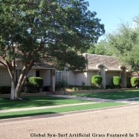 Fake Turf Farmers Branch Texas Landscape Front Yard