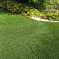 Artificial Grass Alvarado Texas Landscape Back Yard