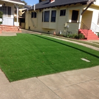 Synthetic Turf Alma Texas Lawn