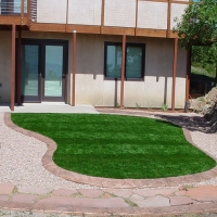 Artificial Veterinary Clinic Cedar Hill Texas Installation