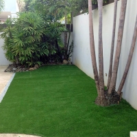 Artificial Grass Scurry Texas Landscape Front Yard