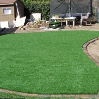 Putting Greens Rice Texas Fake Grass Front Yard