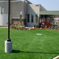 Artificial Turf Roanoke Texas Lawn Commercial Landscape