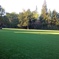 Artificial Turf Pantego Texas Lawn Recreational Areas