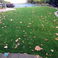 Synthetic Grass Bardwell Texas Landscape