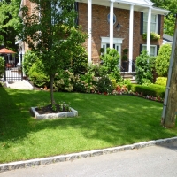 Artificial Grass Mansfield Texas Lawn Front Yard