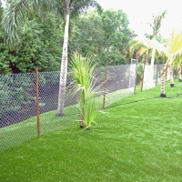 Synthetic Grass Lucas Texas Childcare Facilities Front Yard