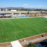 Artificial Turf Irving Texas Landscape Front Yard