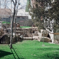 Synthetic Turf Bristol Texas Landscape Front Yard