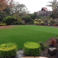 Synthetic Grass Burleson Texas Lawn Back Yard