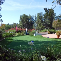 Fake Grass Haltom City Texas Landscape Front Yard