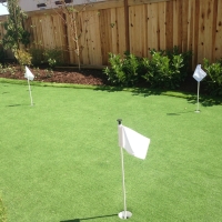 Putting Greens Roanoke Texas Artificial Grass Back Yard