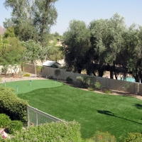 Artificial Turf Combine Texas Landscape Back Yard