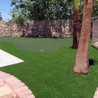 Fake Turf Ponder Texas Lawn Back Yard