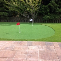 Fake Grass Argyle Texas Lawn Front Yard