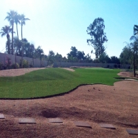 Artificial Turf Combine Texas Lawn Back Yard