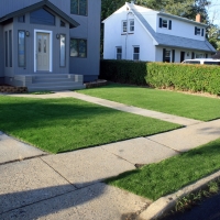 Synthetic Grass Bristol Texas Lawn Front Yard