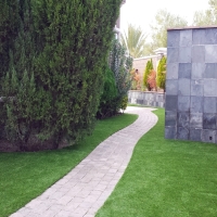 Synthetic Grass Allen Texas Landscape Back Yard Front Yard