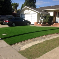 Putting Greens Cross Roads Texas Artificial Grass Back Yard