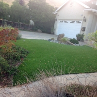 Artificial Turf Bardwell Texas Landscape Back Yard