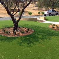 Artificial Grass Westlake Texas Landscape Back Yard