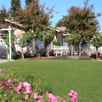 Synthetic Grass Maypearl Texas Lawn