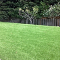 Artificial Grass New Hope Texas Landscape