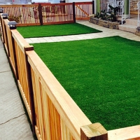 Putting Greens Rendon Texas Artificial Turf Dogs Park Back