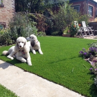 Fake Grass Oak Grove Texas Lawn Commercial Landscape