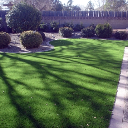 Synthetic Turf Crandall Texas Lawn Front Yard