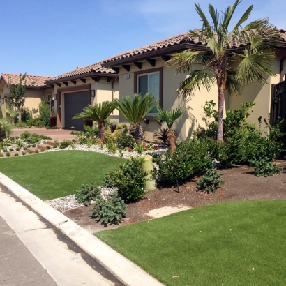 Artificial Turf Blue Mound Texas Landscape