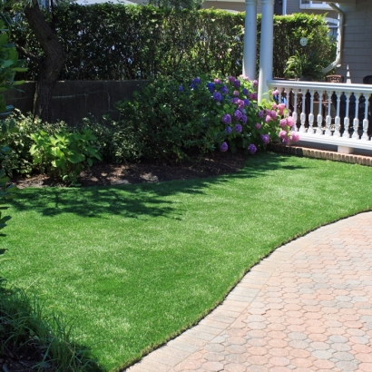 Fake Turf Wilmer Texas Landscape Front Yard