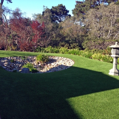 Synthetic Grass Shamrock Texas Lawn Back Yard