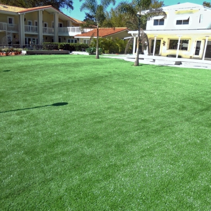 Golf Putting Greens Mansfield Texas Fake Turf Swimming Pools