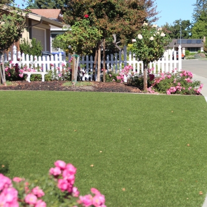 Synthetic Turf Blue Mound Texas Landscape Front Yard