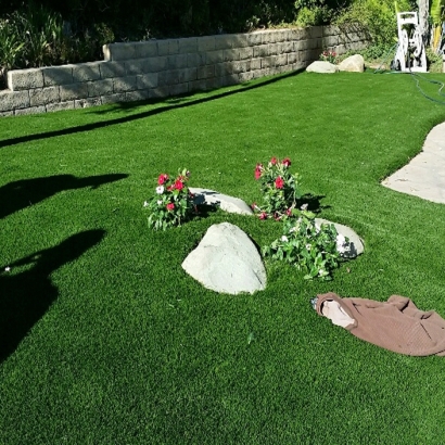 Fake Pets Areas Rosser Texas Installation Back Yard