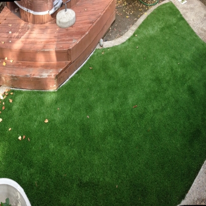 Synthetic Turf Joshua Texas Lawn Back Yard