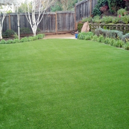 Synthetic Grass Frisco Texas Landscape