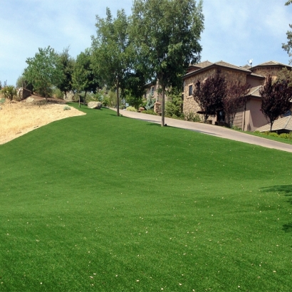 Fake Turf Pantego Texas Lawn Front Yard