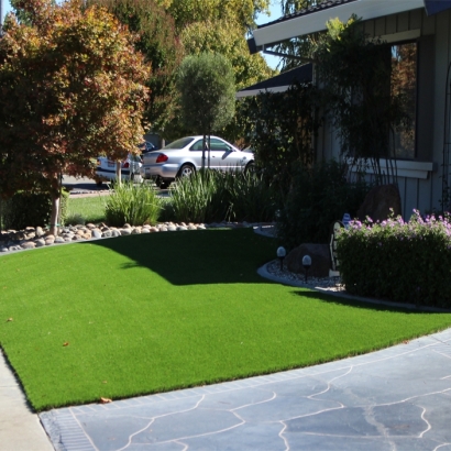 Synthetic Turf Nevada Texas Lawn Back Yard