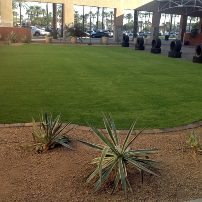 Synthetic Turf Nevada Texas Lawn Front Yard