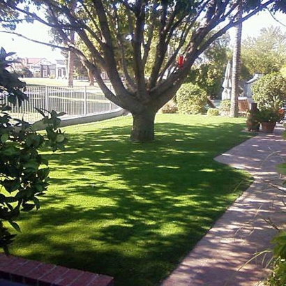 Artificial Grass Hutchins Texas Lawn Back Yard